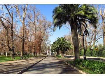Venta / Departamento / Santiago