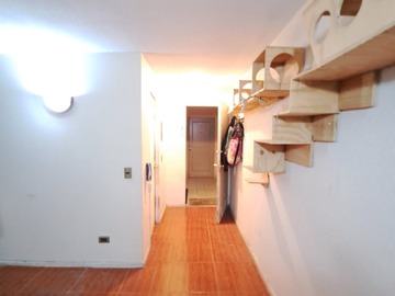 Imagen 16