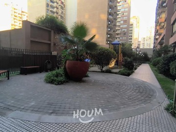 Imagen 20