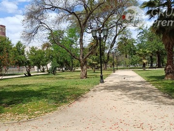 Imagen 20