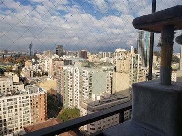Imagen 28