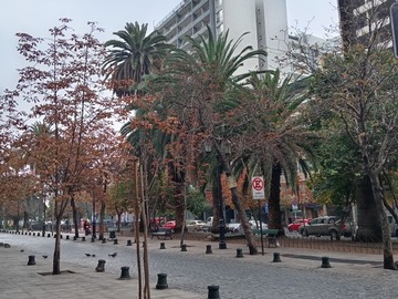 Imagen 28