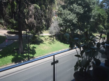 Imagen 21