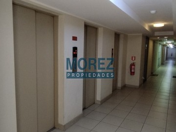 Imagen 13