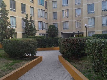Imagen 5