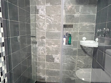 Shower door