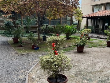 Imagen 11