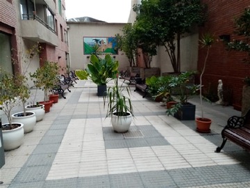 Imagen 11
