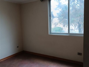 Imagen 6