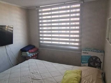 Imagen 11