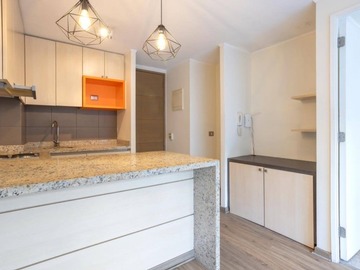 Venta / Departamento / Santiago