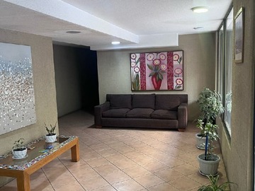 Imagen 12