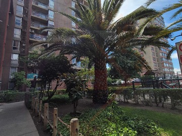 Venta / Departamento / Santiago