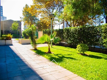 Imagen 8