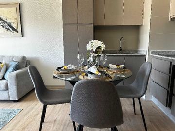 Venta / Departamento / Santiago