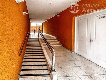 Imagen 14