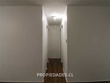 Imagen 15