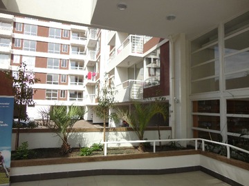 Imagen 6