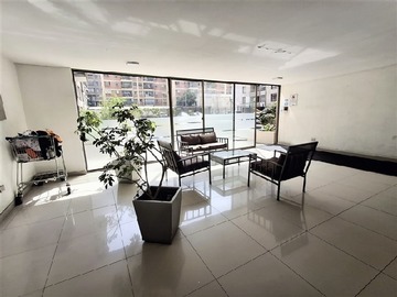 Imagen 7