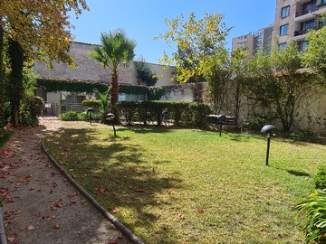 Imagen 6