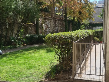 Imagen 8