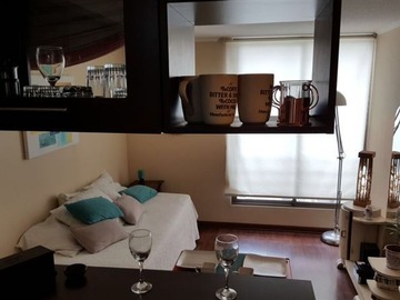 Venta / Departamento / Santiago