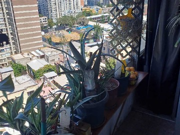 Imagen 9
