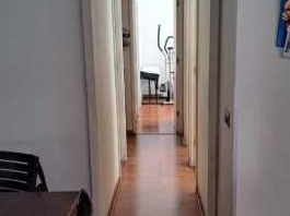 Imagen 12