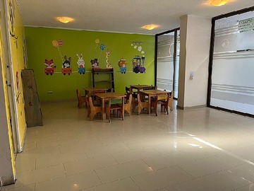 Imagen 15