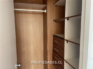 Imagen 11