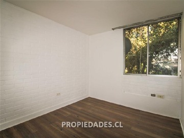 Imagen 20