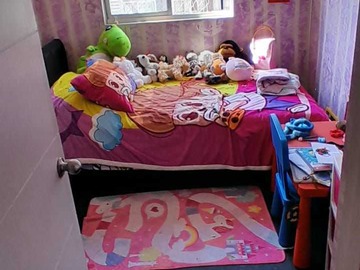 Imagen 11