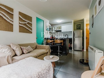 Venta / Departamento / Santiago