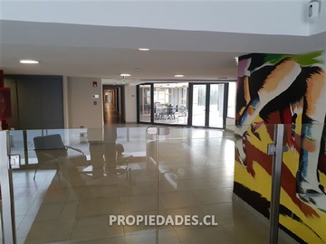 Imagen 11