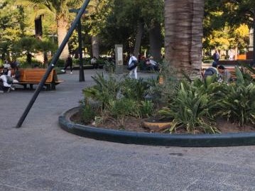 Imagen 5