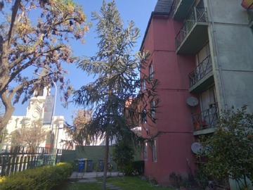 Imagen 19