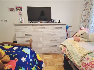 Imagen 8