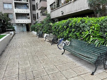 Imagen 22
