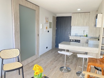 Venta / Departamento / Santiago