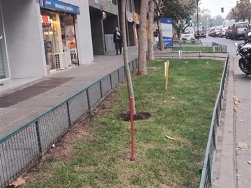 Imagen 25
