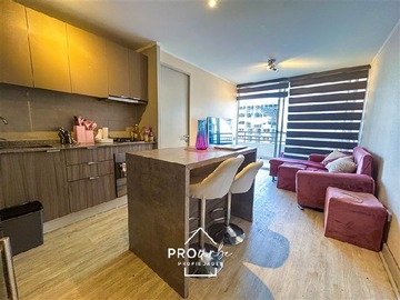 Venta / Departamento / Santiago