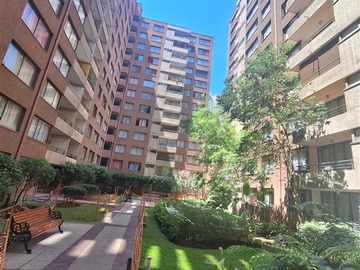 Imagen 12