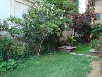 Imagen 4