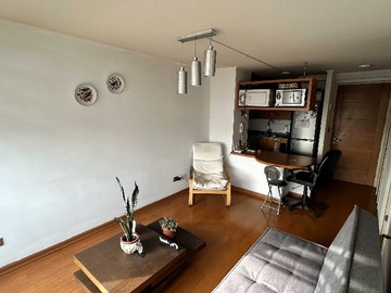 Venta / Departamento / Santiago