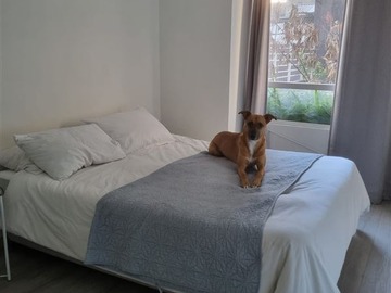 Venta / Departamento / Santiago