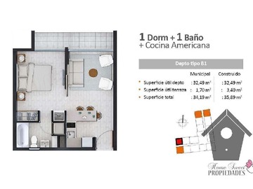 Imagen 11