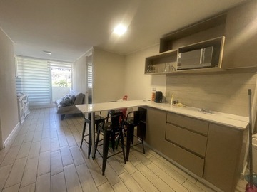 Venta / Departamento / Santiago