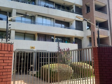 Imagen 5