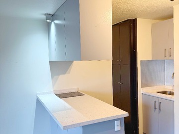 Venta / Departamento / Santiago