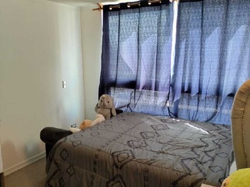 Imagen 9